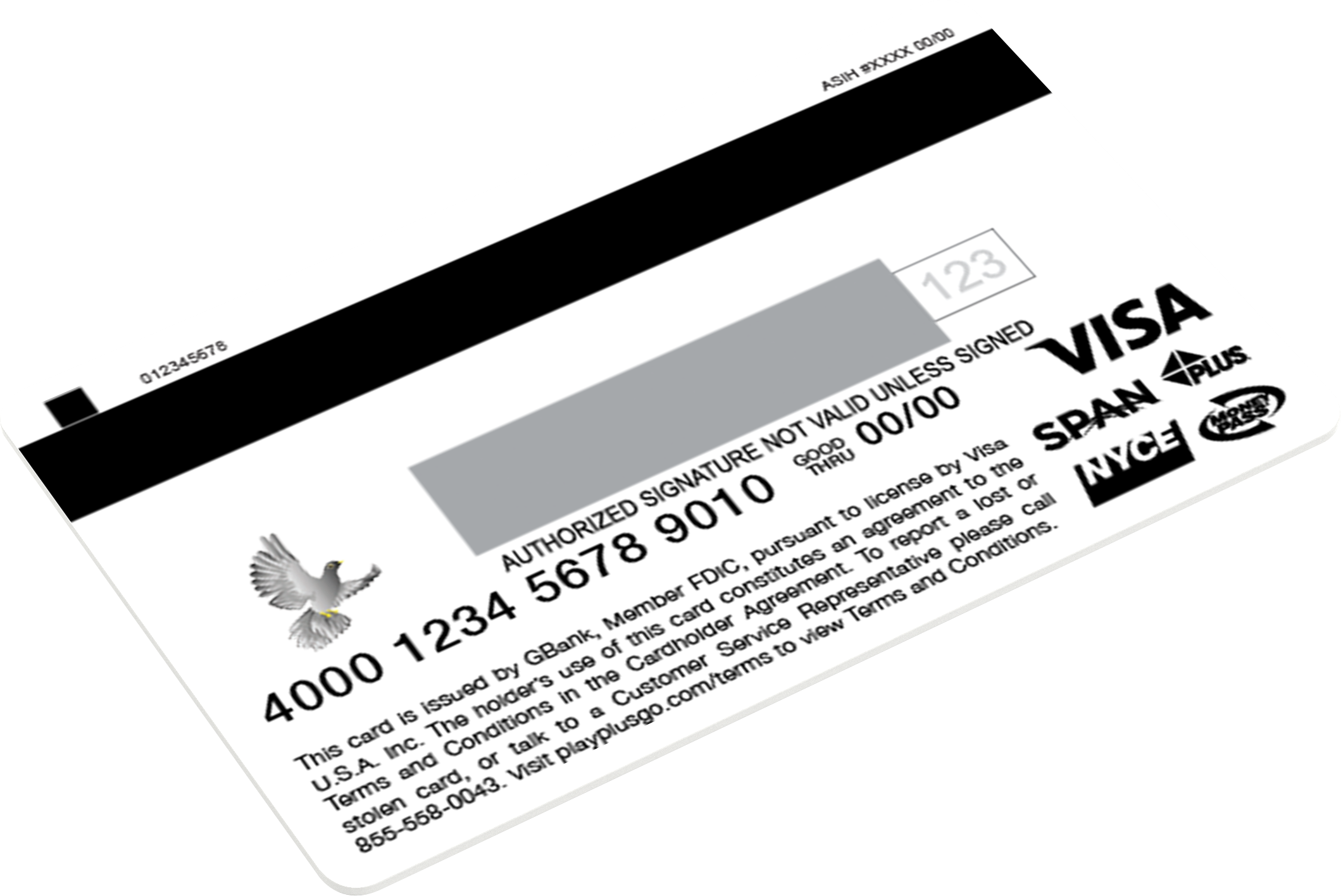 175600_BOC-Example-Visa